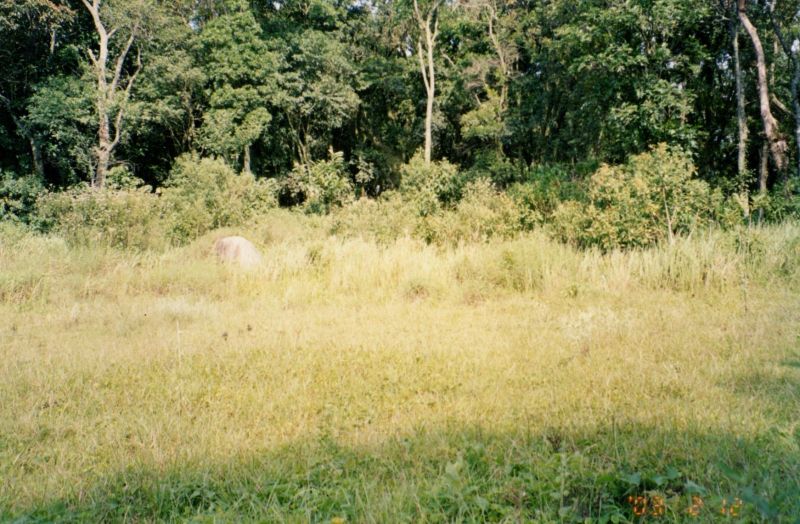 Terreno em Condomínio venda Serra da cantareira Mairiporã - Referência 2585